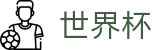 2026世界杯官方网站 | 全球足球赛事数据平台